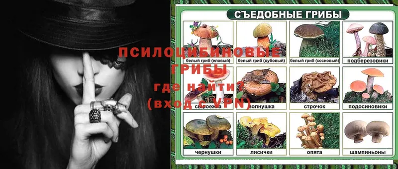 Галлюциногенные грибы Magic Shrooms  Высоцк 